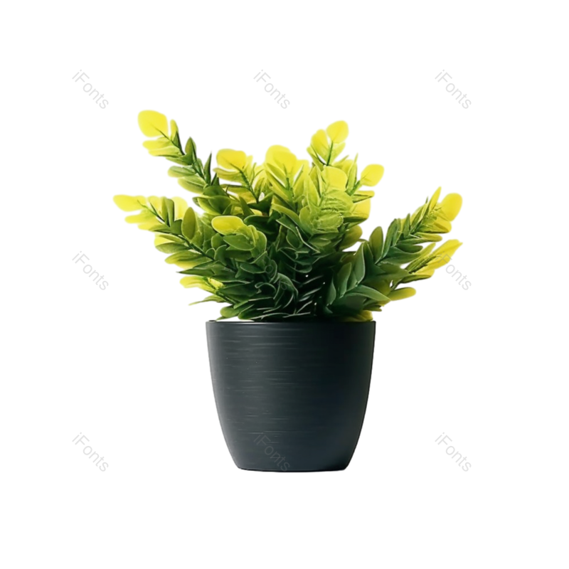 黄色的花图片,摄影元素,白色背景PNG,自然免抠素材